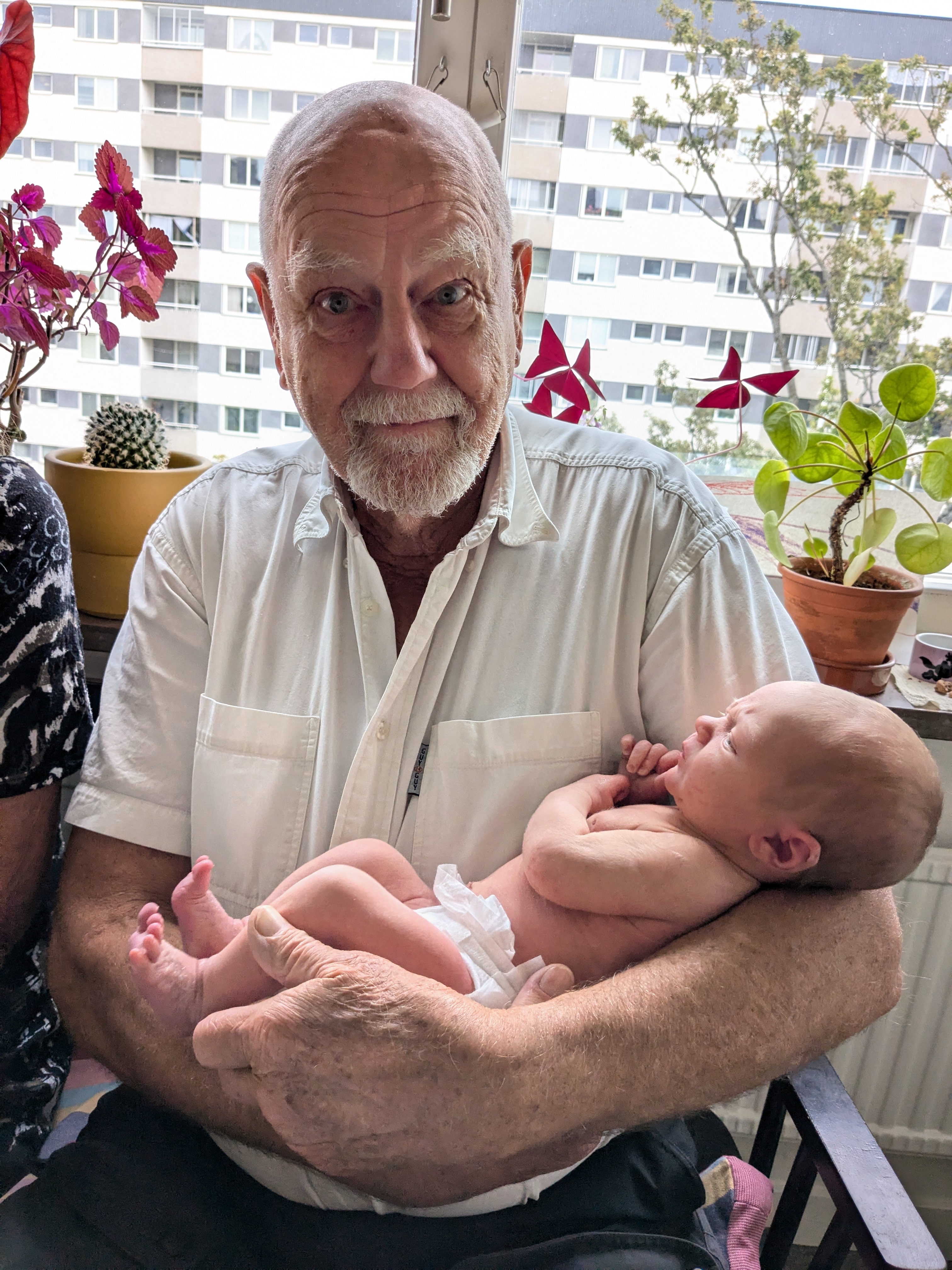 Bilder på Björn