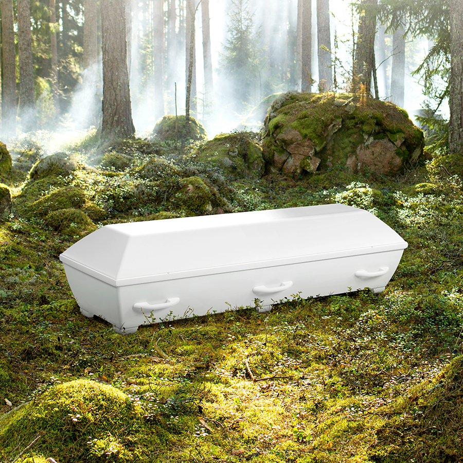 Bild på Lavendlas